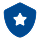 Shield Icon